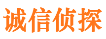 镇雄市私家侦探